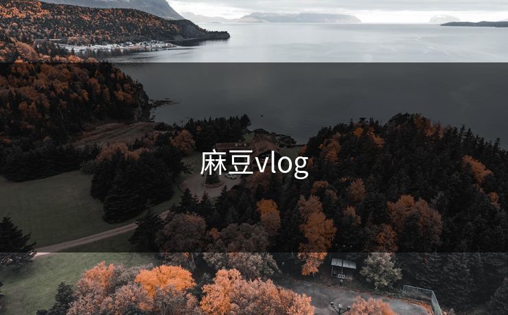 麻豆vlog